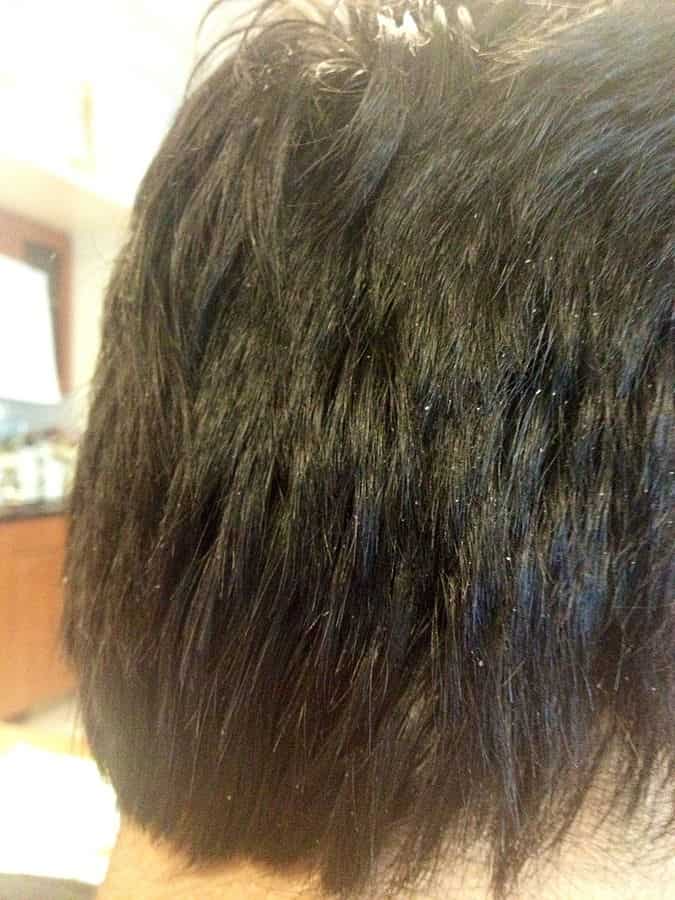 South Moon Herbal Gray Hair Reverse Essence Spray